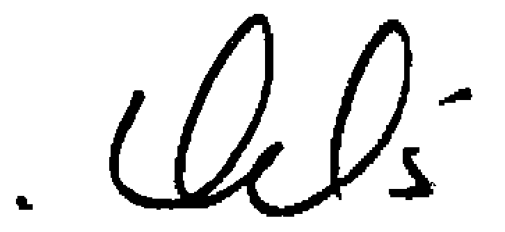 CEO Signature