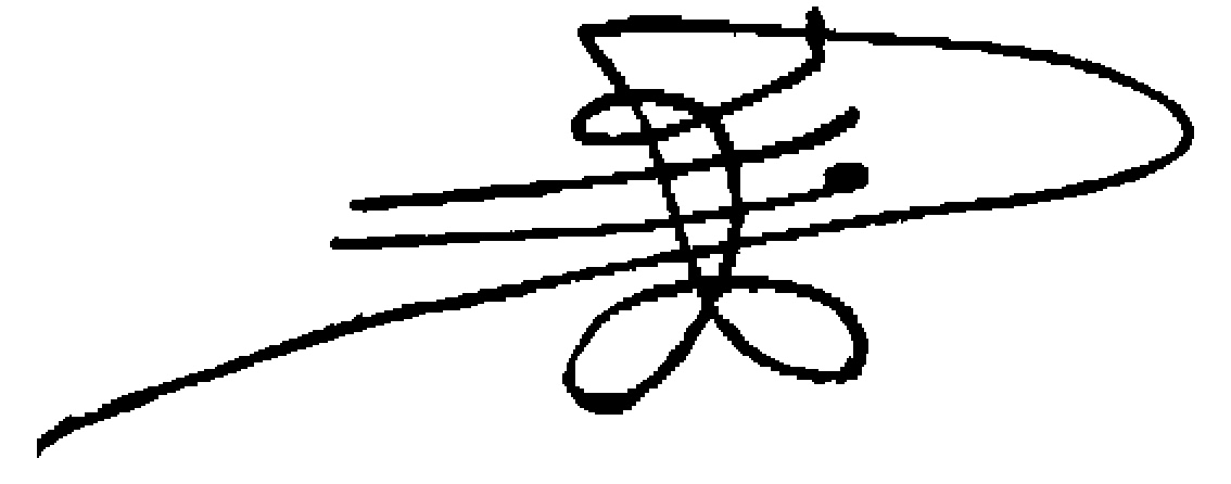 Chairman Signature